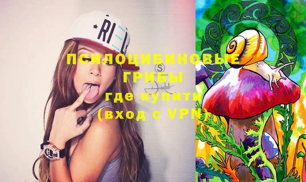 МДПВ Липки